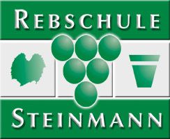 Rebschule Steinmann